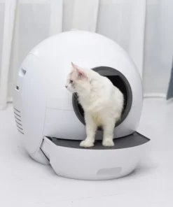 Litière automatique
