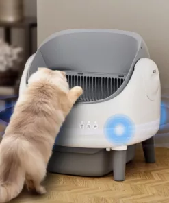 Litière automatique pour chat avec design ouvert