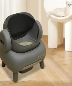 Litière pour chat