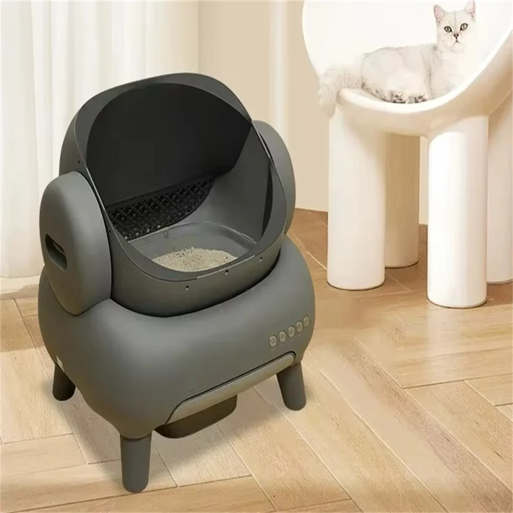 Litière pour chat